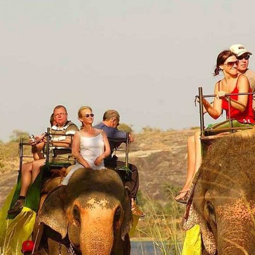 Elephant Back Ride