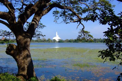 Pagoda with Lake at Vision Lanka Tours