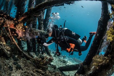 Raked Ship Under water diving at Vision Lanka Tours