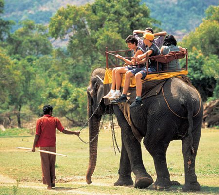 elephant back ride