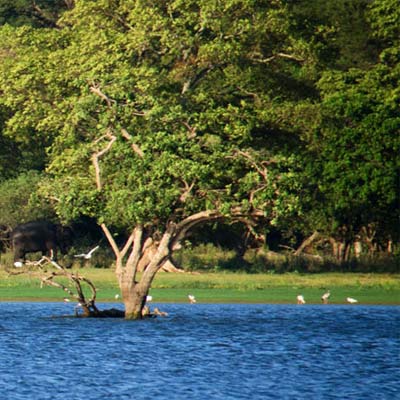 vision lanka tours