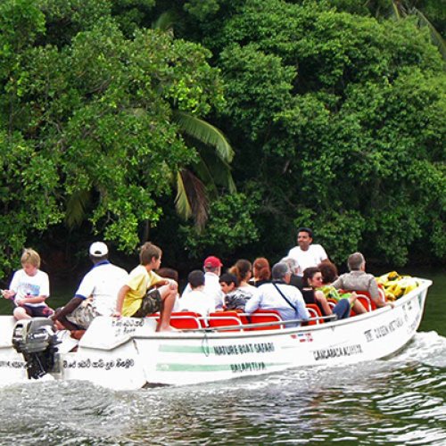 River Safari